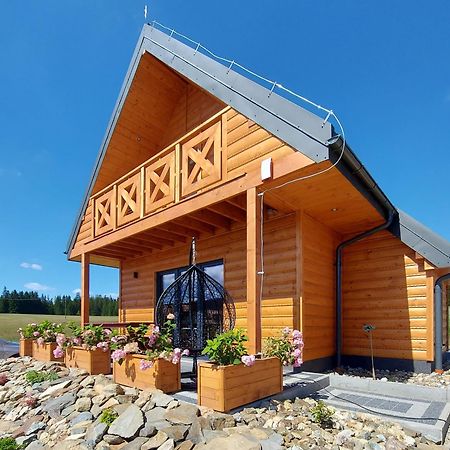 Osada Orlica Klimatyczne Domki Z Widokiem Na Gory I Termalnym Spa Sauna Jacuzzi 4 Km Od Zieleniec Ski Arena Lasowka Esterno foto