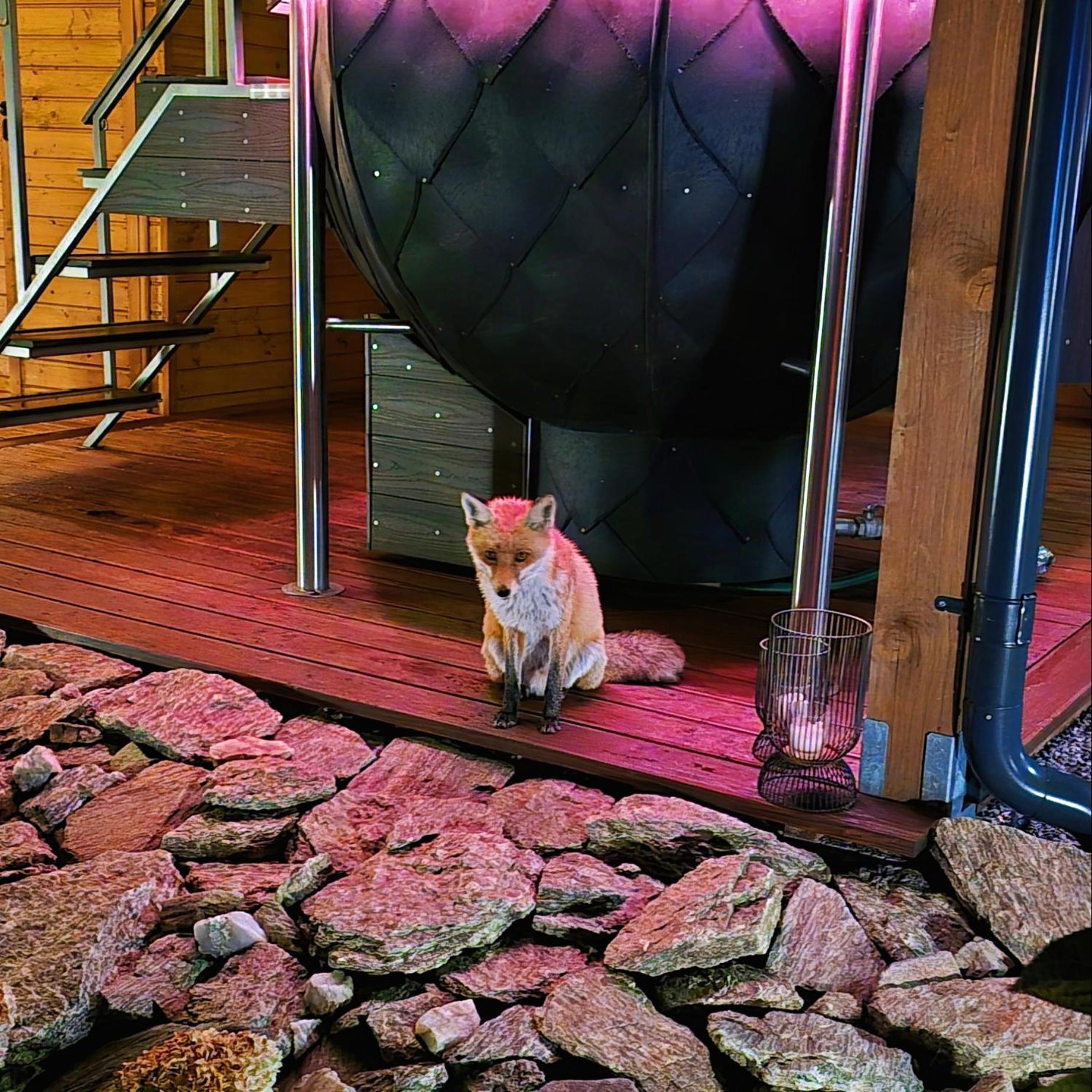 Osada Orlica Klimatyczne Domki Z Widokiem Na Gory I Termalnym Spa Sauna Jacuzzi 4 Km Od Zieleniec Ski Arena Lasowka Esterno foto